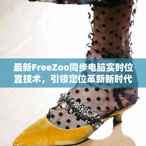 最新FreeZoo同步电脑实时位置技术，引领定位革新新时代
