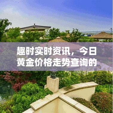 趣时实时资讯，今日黄金价格走势查询的深度解析与警示