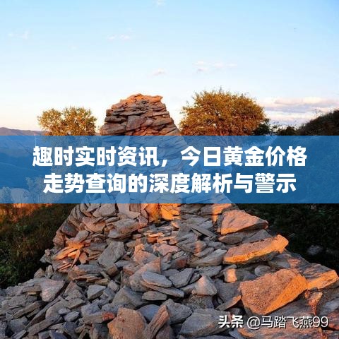 趣时实时资讯,今日黄金价格走势查询的深度解析与警示