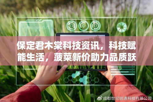 保定君木棠科技资讯,科技赋能生活,菠菜新价助力品质跃升