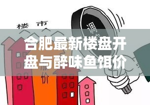 合肥最新楼盘开盘与醉味鱼饵价格，全面解析及防范虚假宣传