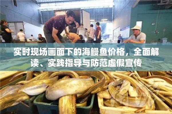 实时现场画面下的海鳗鱼价格,全面解读、实践指导与防范虚假宣传
