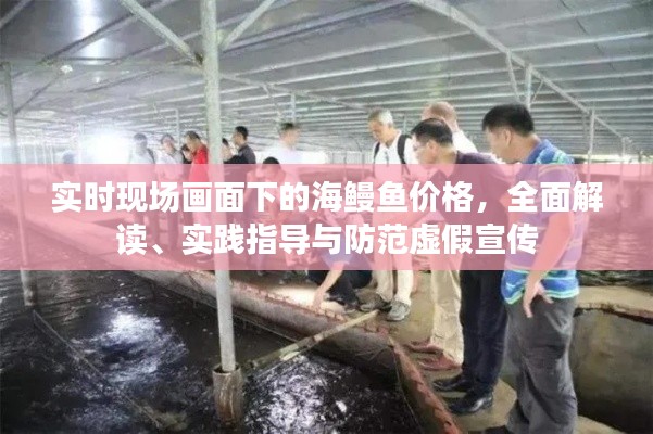 实时现场画面下的海鳗鱼价格,全面解读、实践指导与防范虚假宣传