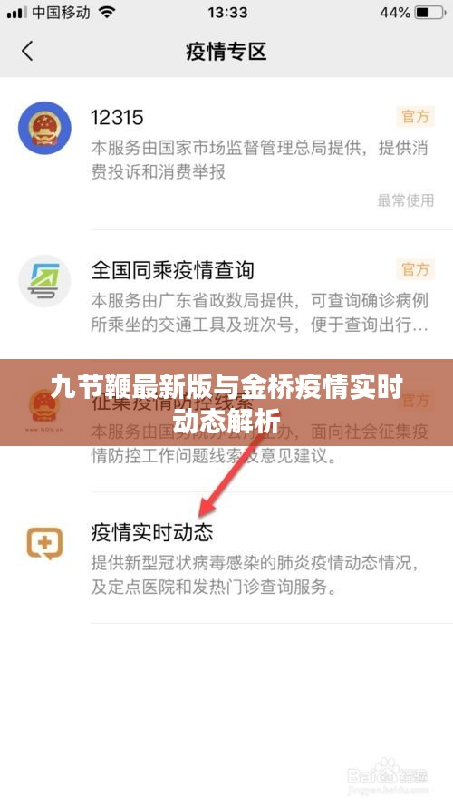 九节鞭最新版与金桥疫情实时动态解析