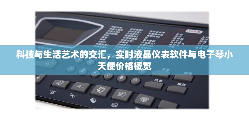 科技与生活艺术的交汇,实时液晶仪表软件与电子琴小天使价格概览