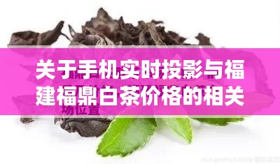 关于手机实时投影与福建福鼎白茶价格的相关探讨