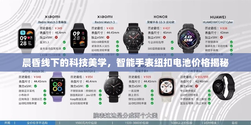 晨昏线下的科技美学,智能手表纽扣电池价格揭秘