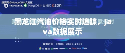 黑龙江汽油价格实时追踪,Java数据展示
