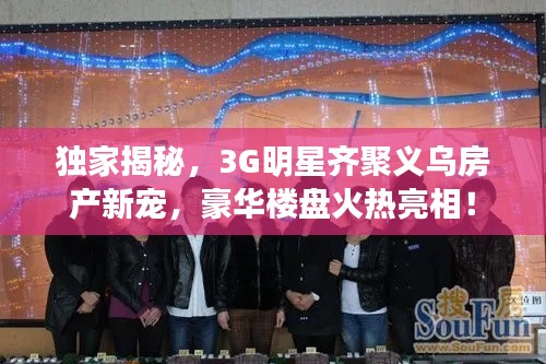 独家揭秘，3G明星齐聚义乌房产新宠，豪华楼盘火热亮相！