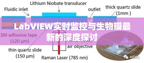 LabVIEW实时监控与生物瓣最新的深度探讨