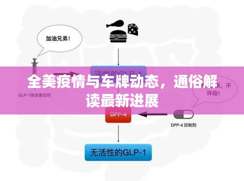 全美疫情与车牌动态,通俗解读最新进展