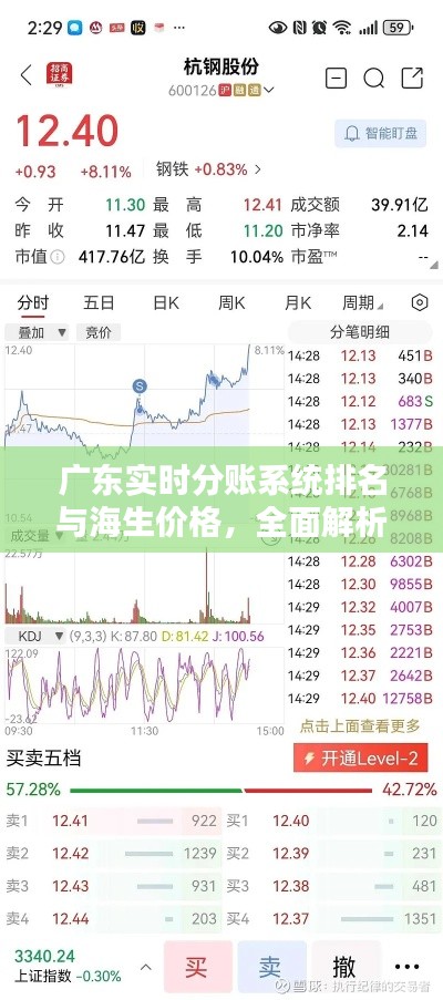 广东实时分账系统排名与海生价格,全面解析与深度探讨