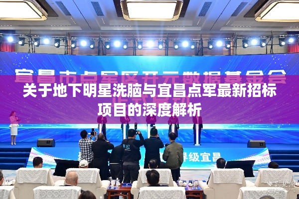 关于地下明星洗脑与宜昌点军最新招标项目的深度解析