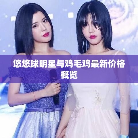 悠悠球明星与鸡毛鸡最新价格概览