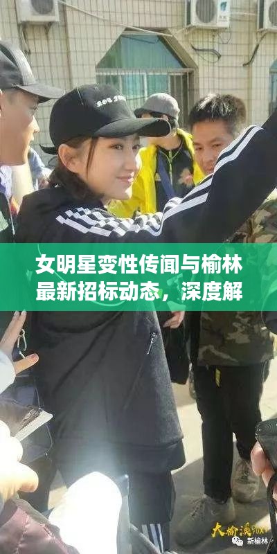 女明星变性传闻与榆林最新招标动态,深度解析新闻事件揭秘真相