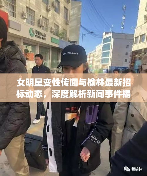 女明星变性传闻与榆林最新招标动态,深度解析新闻事件揭秘真相