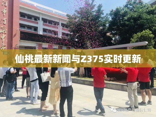 仙桃最新新闻与Z375实时更新