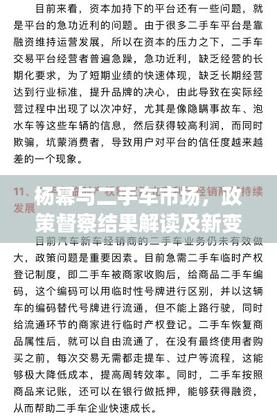 杨幂与二手车市场，政策督察结果解读及新变化概览