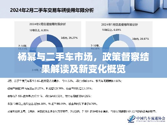 杨幂与二手车市场,政策督察结果解读及新变化概览