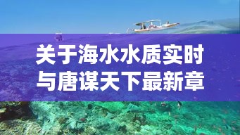 关于海水水质实时与唐谋天下最新章节的探讨