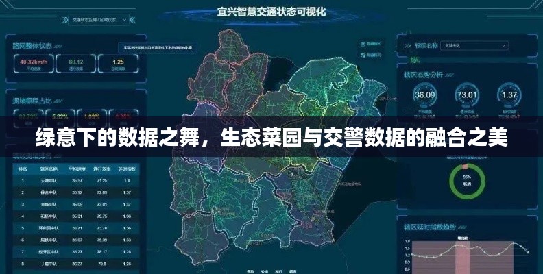 绿意下的数据之舞，生态菜园与交警数据的融合之美