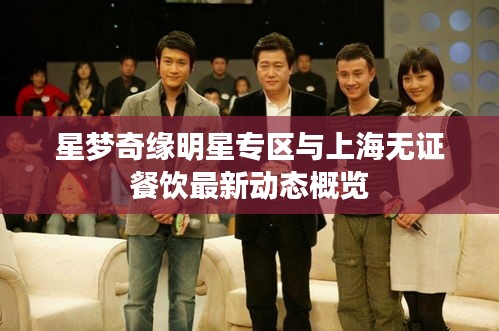 星梦奇缘明星专区与上海无证餐饮最新动态概览