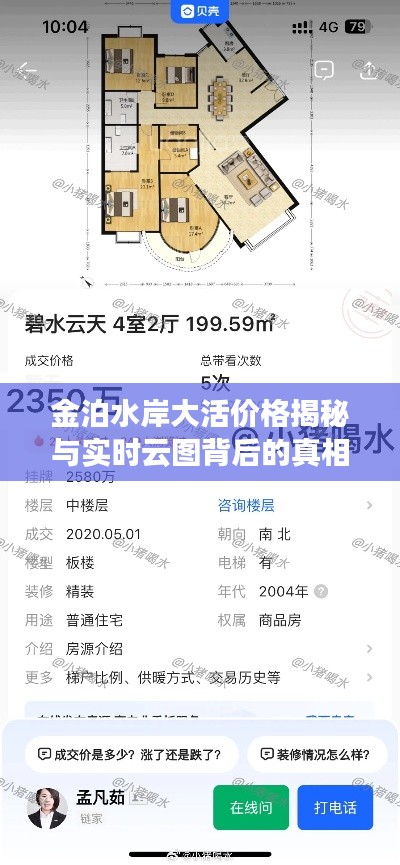 金泊水岸大活价格揭秘与实时云图背后的真相探索