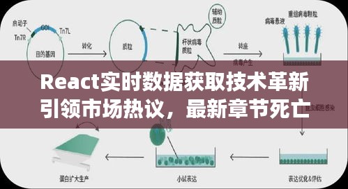 React实时数据获取技术革新引领市场热议,最新章节死亡与技术的碰撞