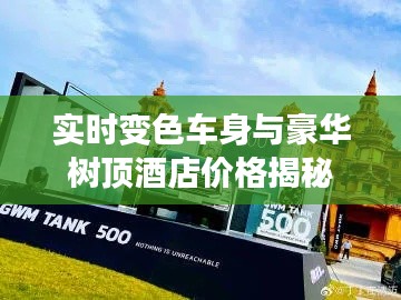 实时变色车身与豪华树顶酒店价格揭秘