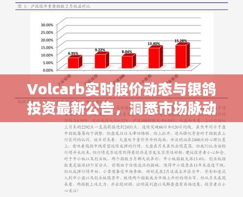 Volcarb实时股价动态与银鸽投资最新公告，洞悉市场脉动，抓住投资先机