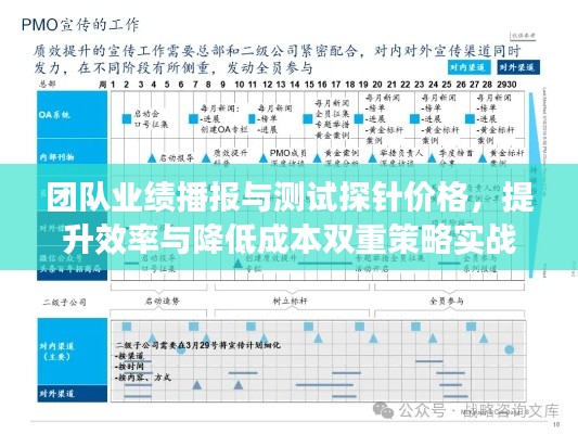 团队业绩播报与测试探针价格，提升效率与降低成本双重策略实战报告