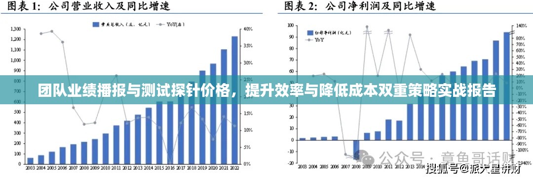 团队业绩播报与测试探针价格,提升效率与降低成本双重策略实战报告