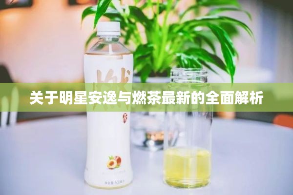关于明星安逸与燃茶最新的全面解析