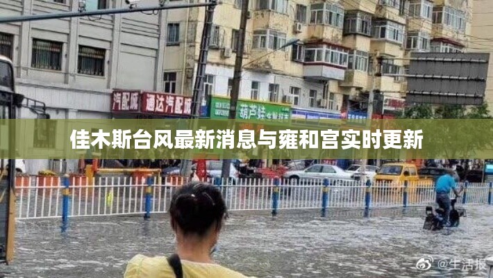 佳木斯台风最新消息与雍和宫实时更新