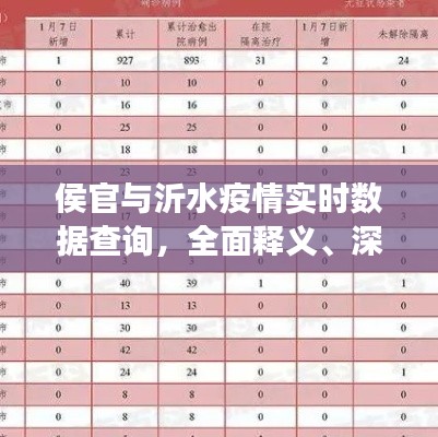 侯官与沂水疫情实时数据查询，全面释义、深度解读与虚假宣传风险预警