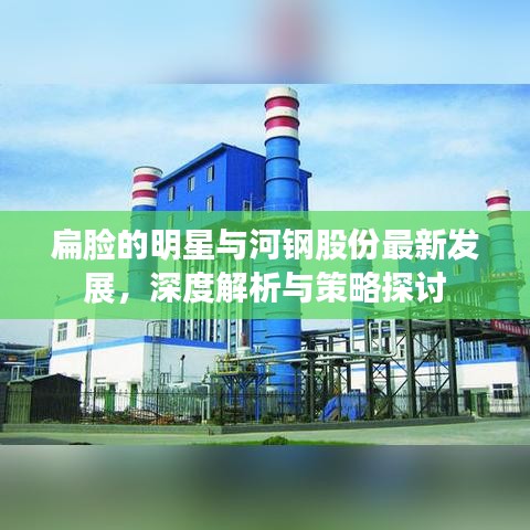 扁脸的明星与河钢股份最新发展，深度解析与策略探讨