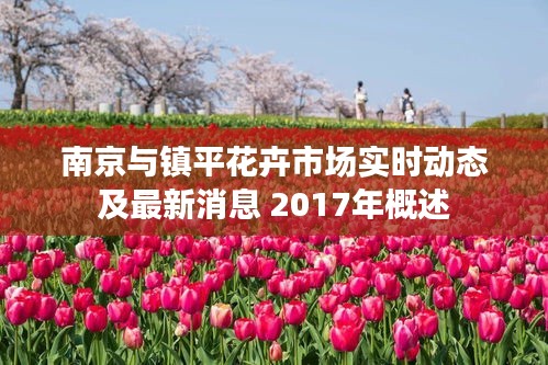 南京与镇平花卉市场实时动态及最新消息 2017年概述