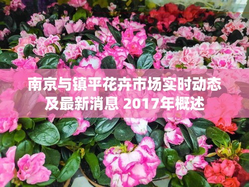 南京与镇平花卉市场实时动态及最新消息 2017年概述