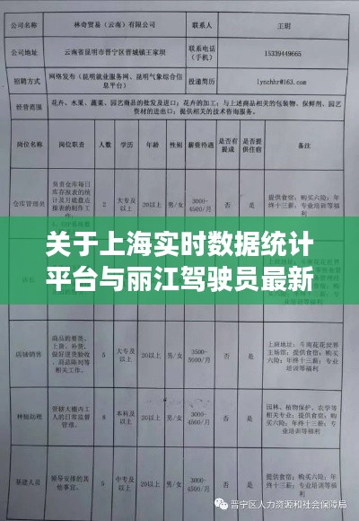 关于上海实时数据统计平台与丽江驾驶员最新招聘信息的深度解析与策略探讨