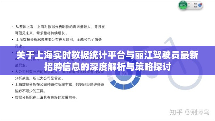 关于上海实时数据统计平台与丽江驾驶员最新招聘信息的深度解析与策略探讨