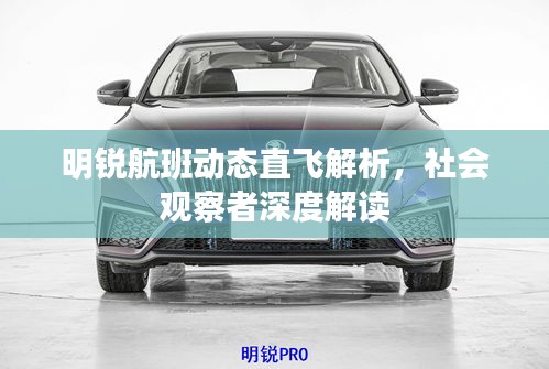 明锐航班动态直飞解析，社会观察者深度解读