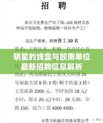 明星的线盒与胶南单位最新招聘信息解析