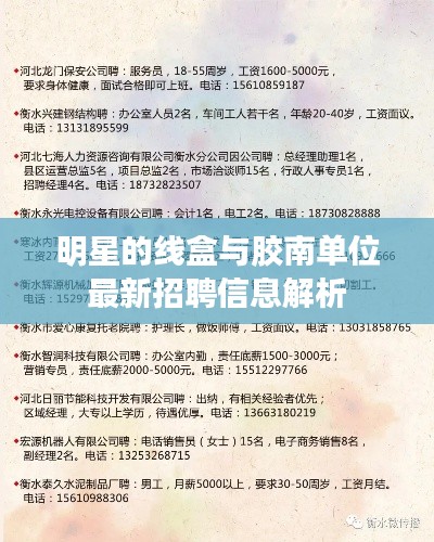 明星的线盒与胶南单位最新招聘信息解析