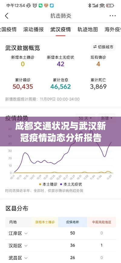 成都交通状况与武汉新冠疫情动态分析报告