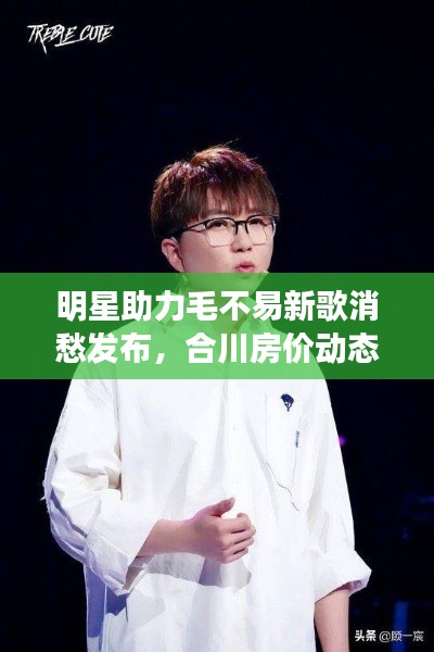 明星助力毛不易新歌消愁发布，合川房价动态成焦点