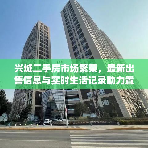 兴城二手房市场繁荣，最新出售信息与实时生活记录助力置业新潮流