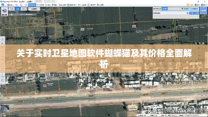 关于实时卫星地图软件蝴蝶猫及其价格全面解析