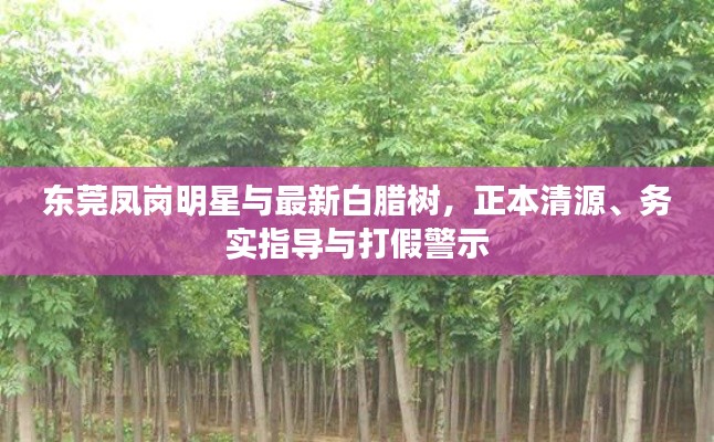 东莞凤岗明星与最新白腊树,正本清源、务实指导与打假警示