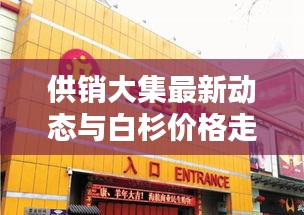 供销大集最新动态与白杉价格走势全面解析！