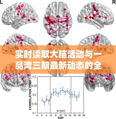 实时读取大脑活动与一品湾三期最新动态的全面解读